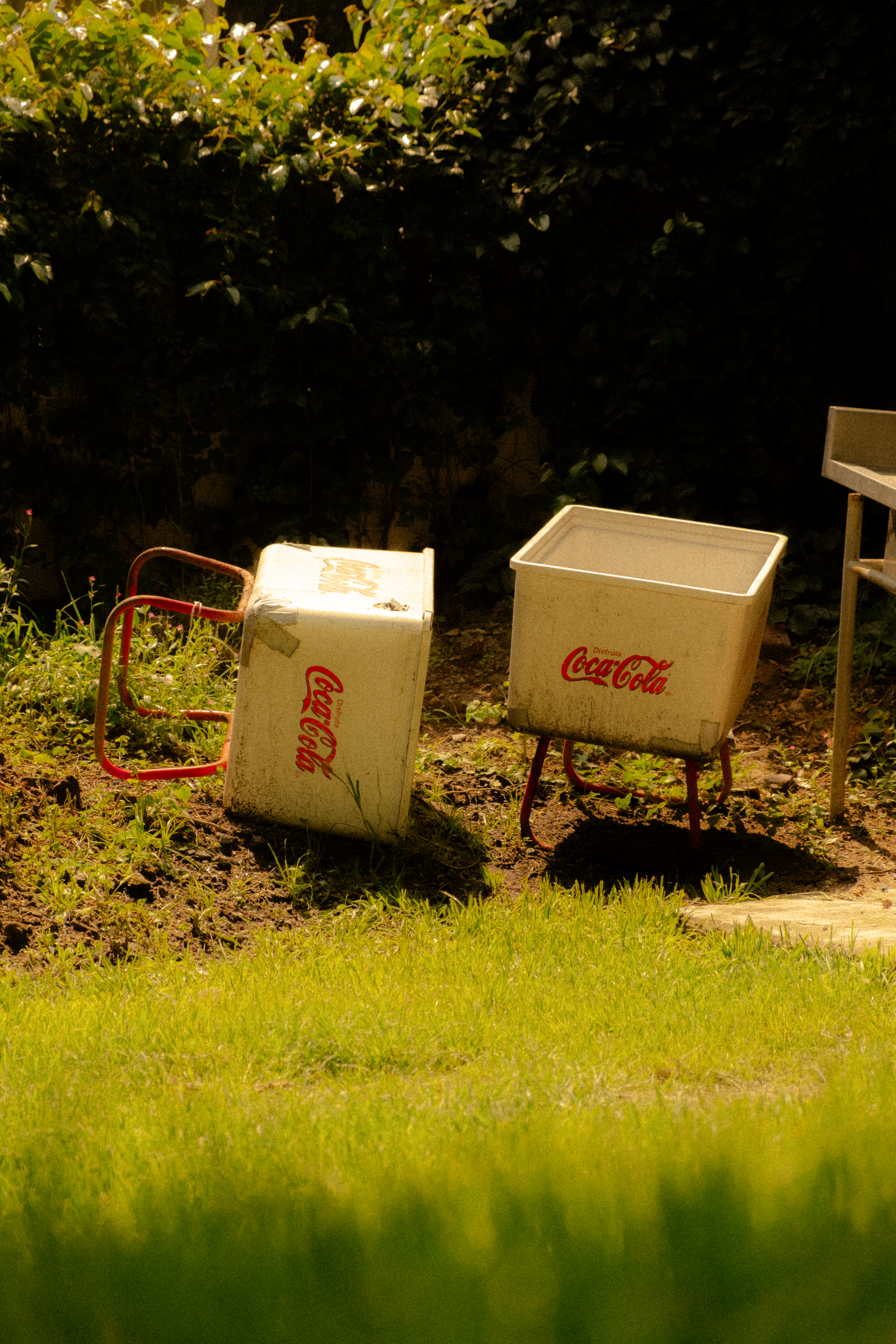 Photography portfolio image 3