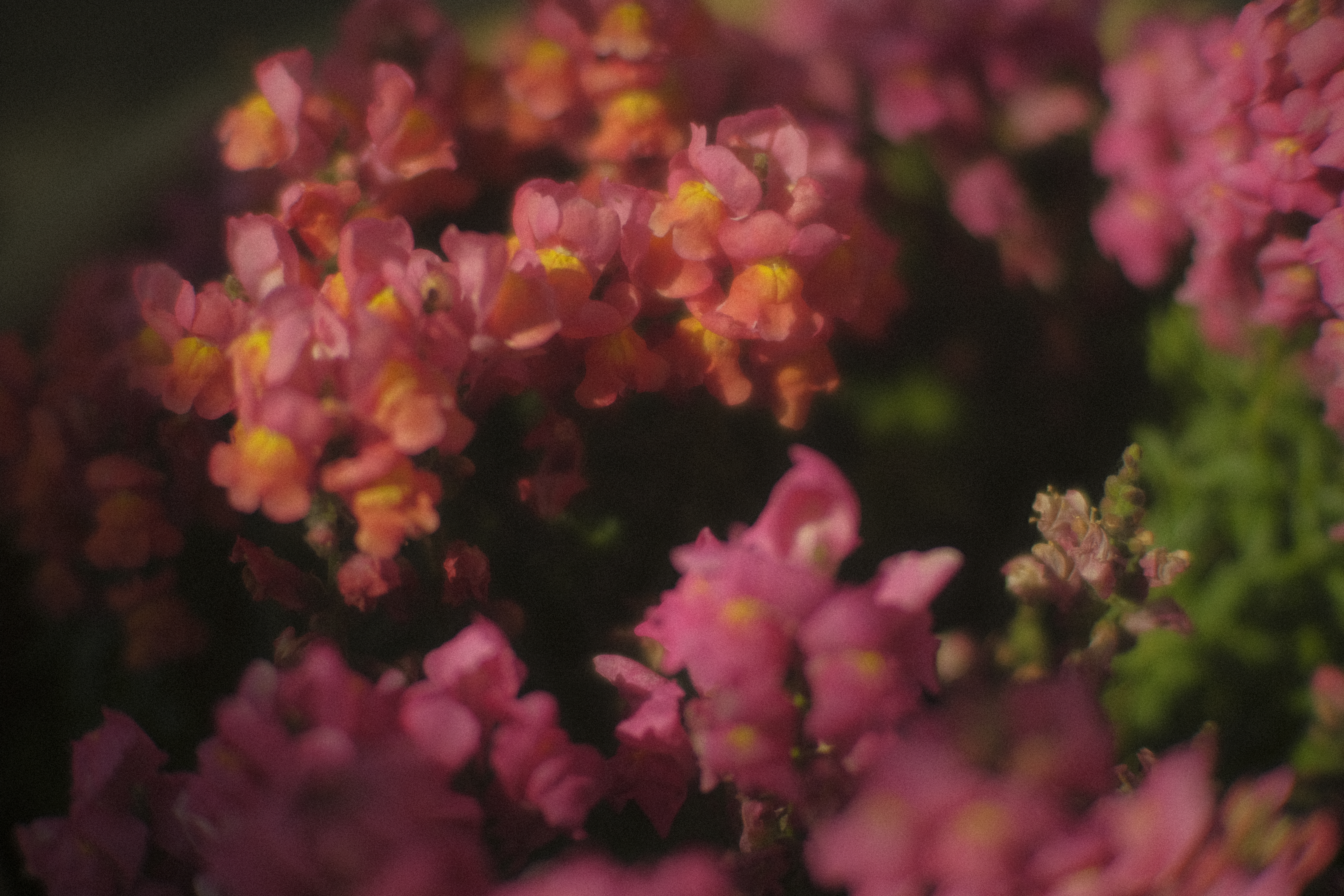 Photography portfolio image 5