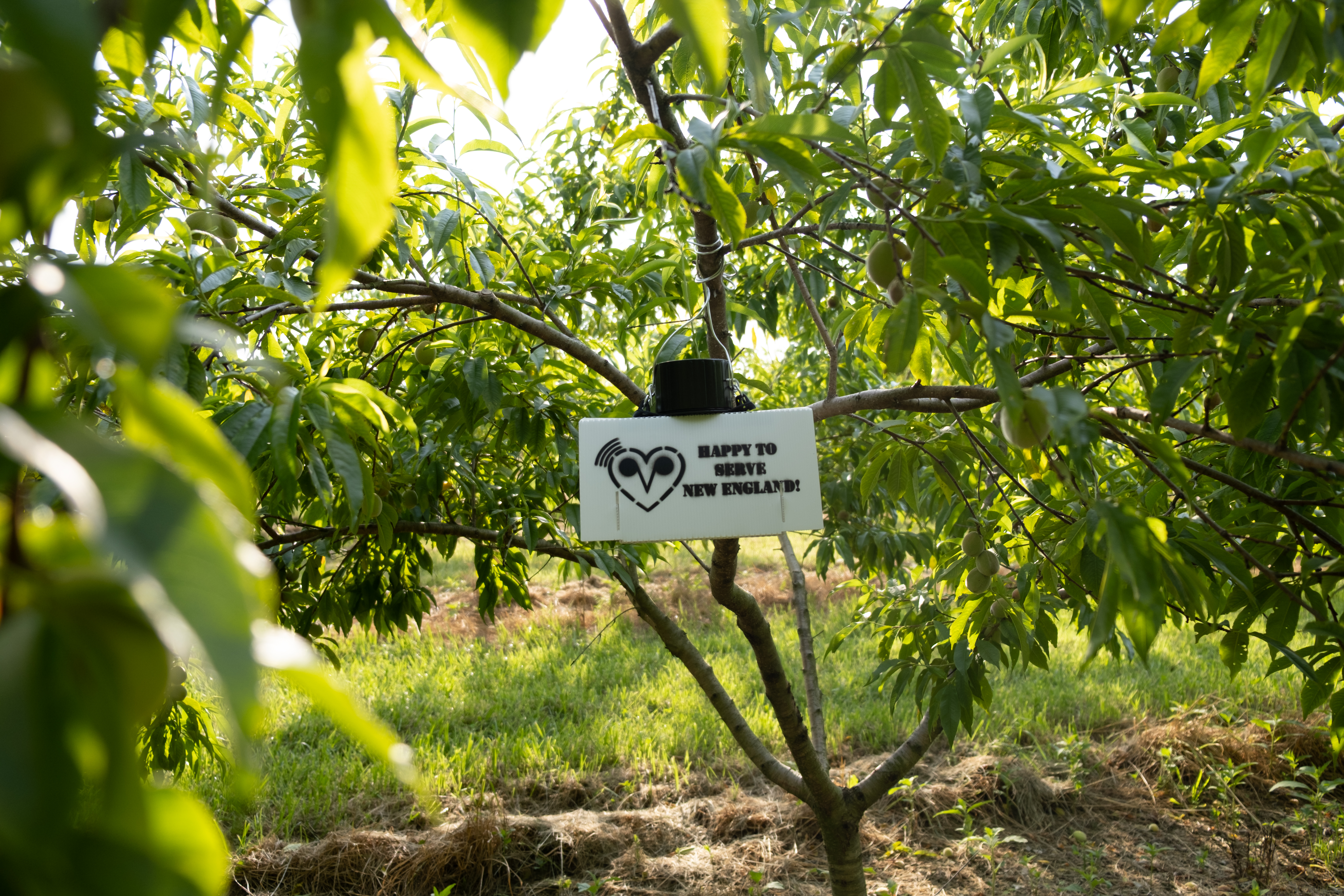 Photography portfolio image 9